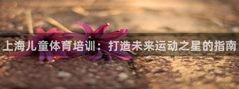 焦点娱乐平台客服热线：上海儿童体育培训：打造未来运动之星的指