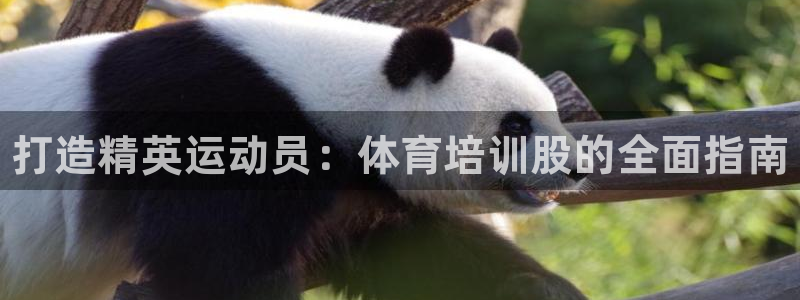 焦点娱乐平台是正规的吗安全吗可靠吗：打造精英运动员：