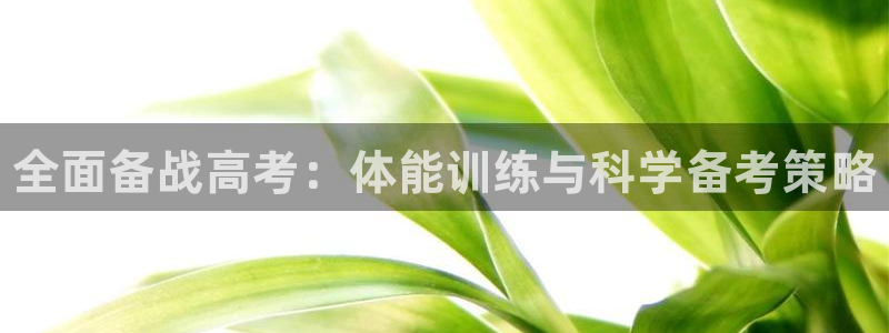 焦点娱乐官方网站首页入口：全面备战高考：体能训练与科
