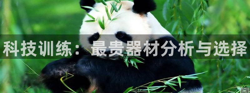 焦点娱乐官方网站入口在线观看：科技训练：最贵器材分析