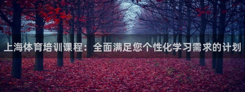 焦点娱乐游戏：上海体育培训课程：全面满足您个性化学习