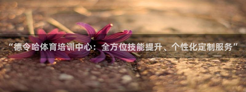 焦点娱乐平台登录不了了：“德令哈体育培训中心：全方位技能提升