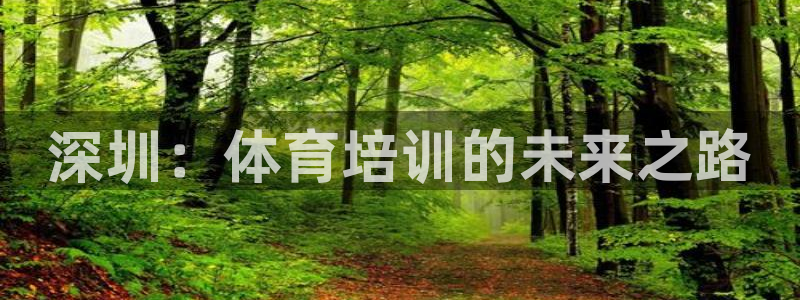 焦点娱乐游戏攻略视频