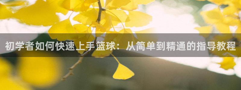 焦点娱乐营7O777：初学者如何快速上手篮球：从简单到精通的