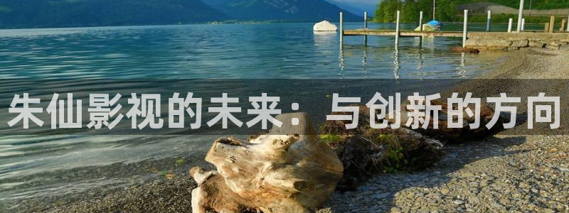 黑狐影院在线