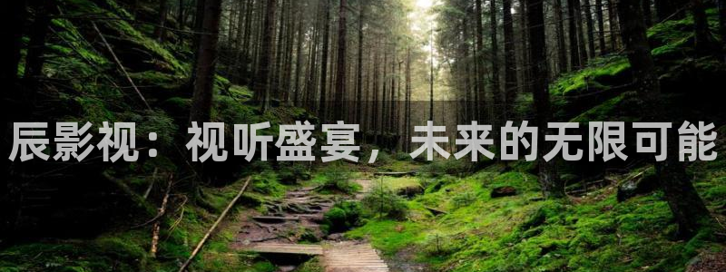 黑狐影院免费高清电影