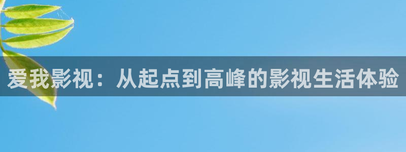 黑狐影院在线观看视频