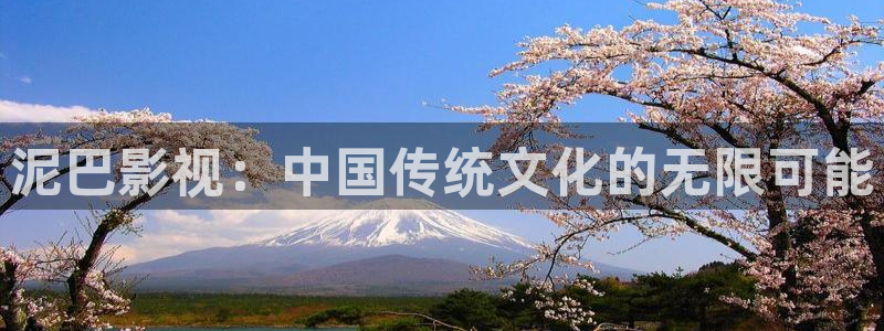 黑狐影院手机版