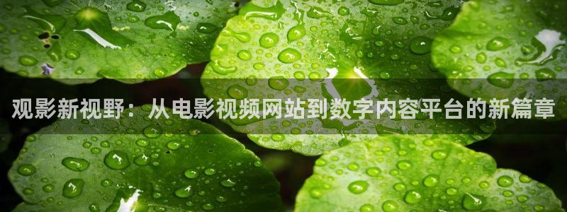 黑狐影院神马免费高清