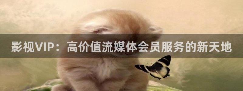 黑狐影院网