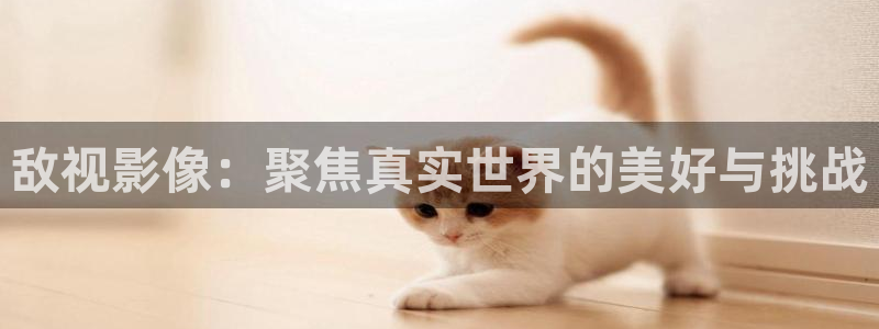 黑狐影院神马电影