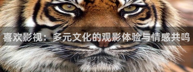 黑狐影院在线观看视频