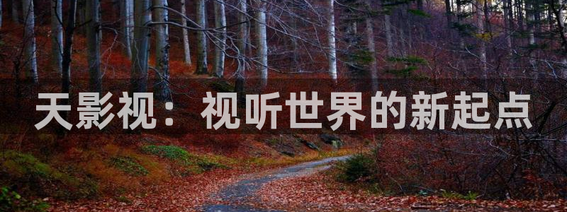 黑狐影院